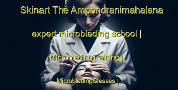 Skinart The Ampondranimahalana expert microblading school | MicrobladingTraining | MicrobladingClasses | SkinartTraining-Madagascar